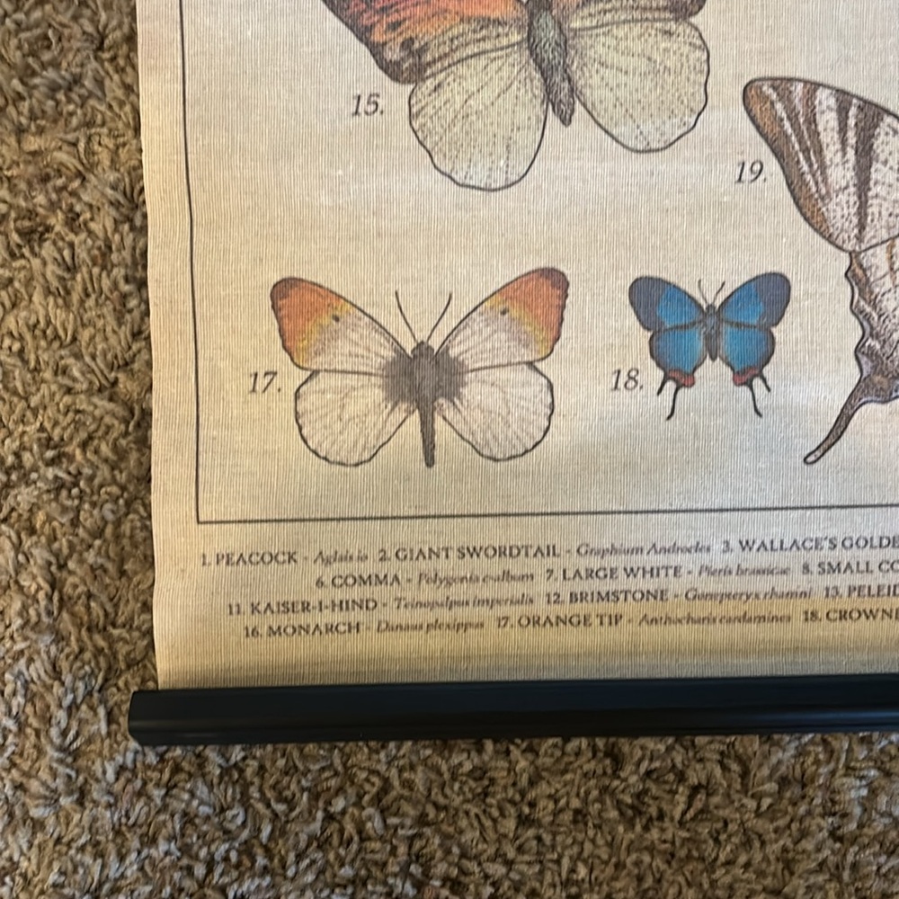 NEW Butterfly Linen Scroll Wall Hanging - Picture 3 of 5